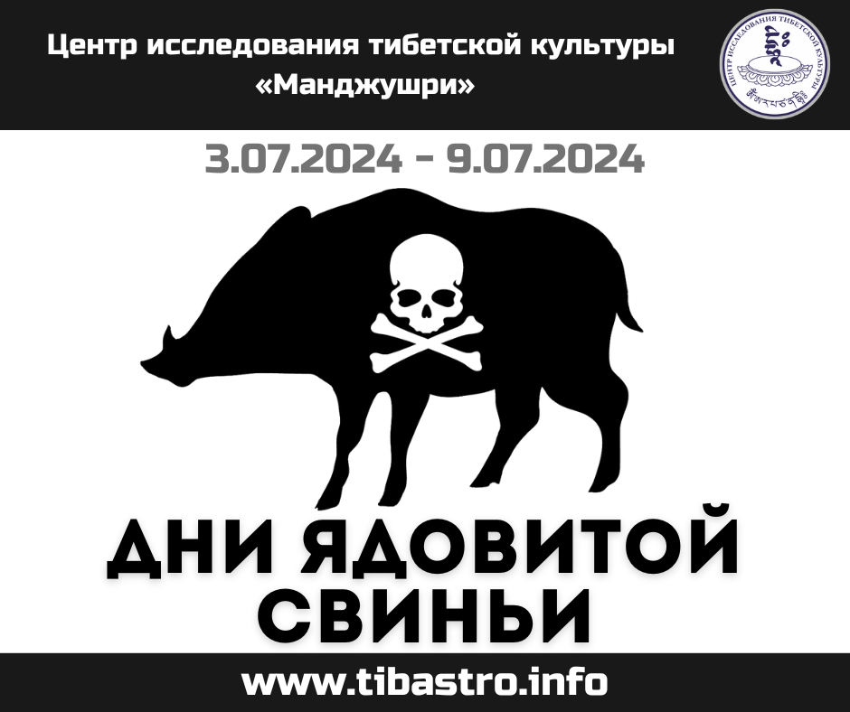 Изображение для новости 3 - 9 июля 2024 - Дни "ядовитой свиньи"