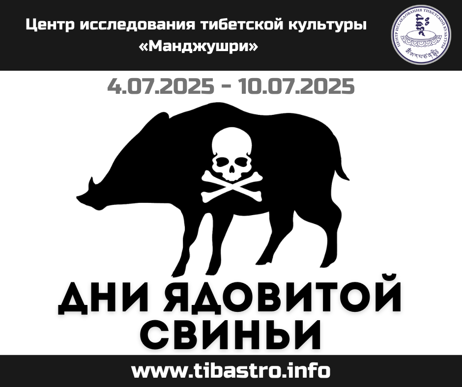 Изображение для новости 4 - 10 июля 2025 - Дни "ядовитой свиньи"